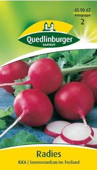 Quedlinburger Saatgut Radies Ilka
