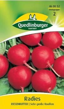 Quedlinburger Saatgut Radies Riesenbutter