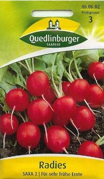 Quedlinburger Saatgut Radies Saxa 2