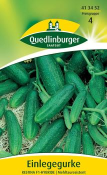 Quedlinburger Saatgut Einlegegurke Restina F1