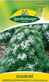 Quedlinburger Saatgut Grünkohl Halbhoher grüner krauser