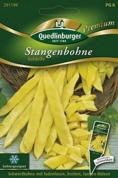 Quedlinburger Saatgut Stangenbohne Goldelfe