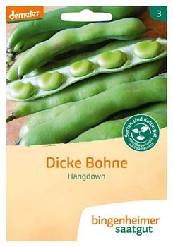 Bingenheimer Saatgut Dicke Bohne Hangdown