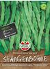 Sperli Gemüsesamen Stangenbohnen Princesse à rames type perle, grün