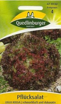 Quedlinburger Saatgut Pflücksalat Lollo Rossa