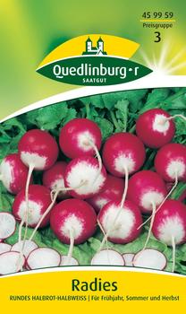 Quedlinburger Saatgut Radies Rundes halbrot-halbweiß