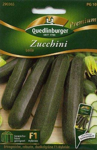 Quedlinburger Saatgut Zucchini Leila F1