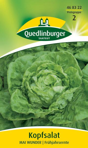 Quedlinburger Saatgut Kopfsalat Mai Wunder