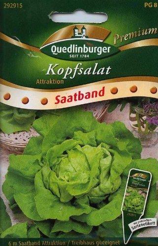 Quedlinburger Saatgut Kopfsalat Attraktion (Saatband)