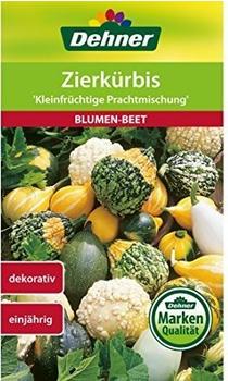 Dehner Zierkürbis Kleinfrüchtige Prachtmischung (5 x 2.5 g)