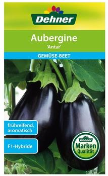 Dehner Aubergine Antar F1 (5 x 1 g)