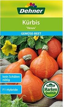 Dehner Kürbis Vesuv (5 x 7 g)