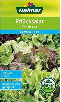 Dehner Pflücksalat Fitness Mix (5 x 3 g)