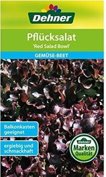 Dehner Pflücksalat Red Salad Bowl (5 x 2 g)
