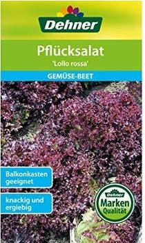 Dehner Pflücksalat Lollo rossa (5 x 2 g)