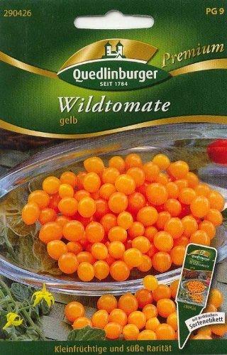 Quedlinburger Saatgut Wildtomate gelb