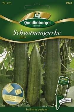 Quedlinburger Saatgut Schwammgurke Luffa
