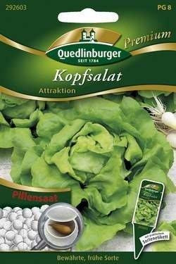 Quedlinburger Saatgut Kopfsalat Attraktion (Pillensaat)