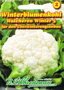Chrestensen Blumenkohl Walcheren Winter 5