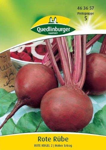 Quedlinburger Saatgut Rote Rübe Rote Kugel 2 (50g)