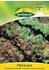 Quedlinburger Saatgut Pflücksalat Amerikanischer brauner (50g)