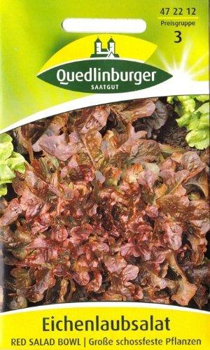 Quedlinburger Saatgut Eichenlaubsalat Red Salad Bowl