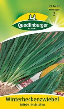 Quedlinburger Saatgut Zwiebel Winterhecken Freddy