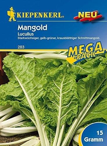 Kiepenkerl Mangold Lucullus (Mega-Pack)
