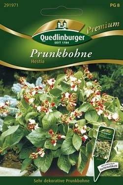 Quedlinburger Saatgut Prunkbohne Hestia