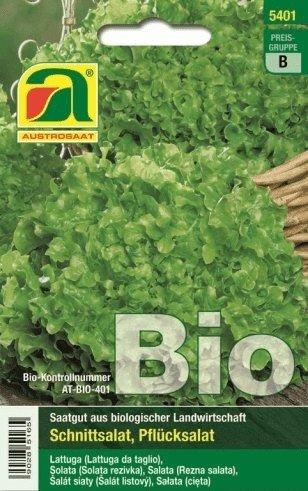 AustroSaat Bio-Schnittsalat Salad Bowl