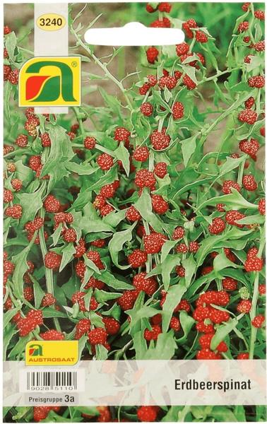AustroSaat Erdbeerspinat