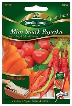 Quedlinburger Saatgut Paprika Mini Snack