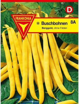 Frankonia Buschbohne Berggold