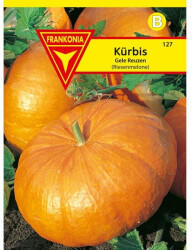 Frankonia Kürbis Gele Reuzen