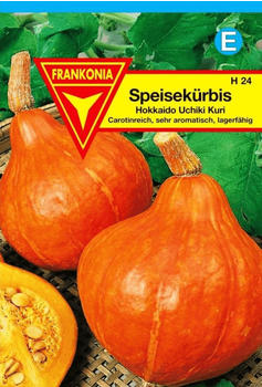 Frankonia Kürbis Hokkaido Uchiki Kuri