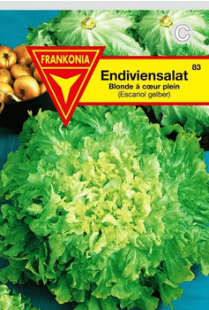 Frankonia Winter-Endivie Escariol gelber