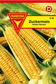 Frankonia Zuckermais Golden Bantham