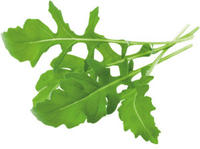 Click and Grow SGAR, Click and Grow Rucola
