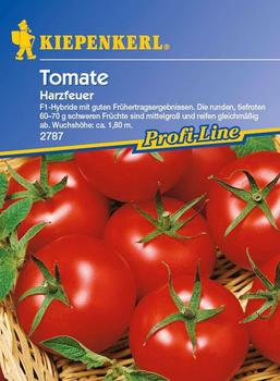 Kiepenkerl Harzfeuer Tomate 15 Pflanzen