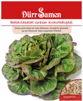 Dürr-Sa­men Bataviasalat Grazer Krauthäuptel