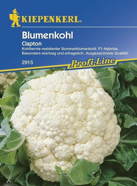 Kiepenkerl Clapton Blumenkohl