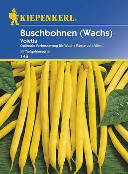 Kiepenkerl Voletta Buschbohnen