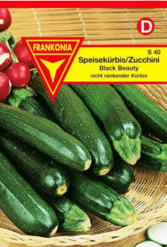 Frankonia Zucchini Black Beauty