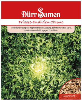 Dürr-Samen Frissee-Endivien Chrono
