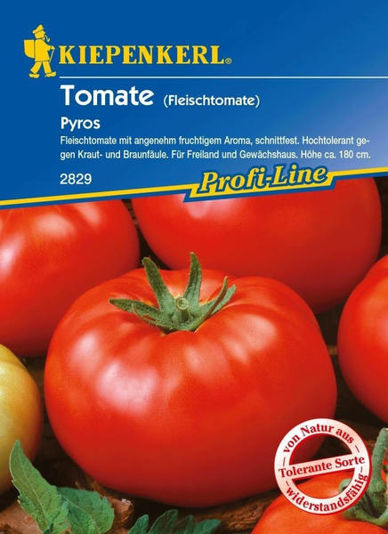 Kiepenkerl Pyros Tomate 15 Korn