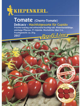 Kiepenkerl Cherry-Tomate Delicacy, F1 (2857)