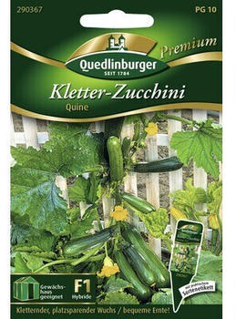 Quedlinburger Saatgut Kletter-Zuccini Quine (290367)