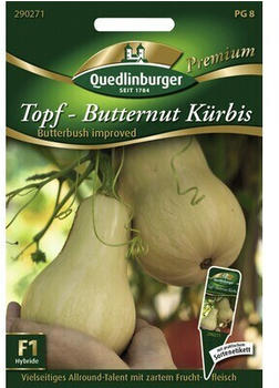 Quedlinburger Saatgut Kürbis Topf- Butternut (290271)