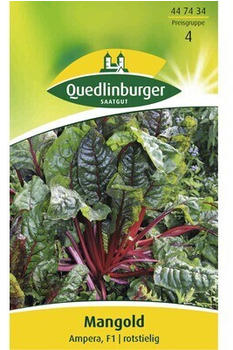 Quedlinburger Saatgut Mangold Ampera (447434)