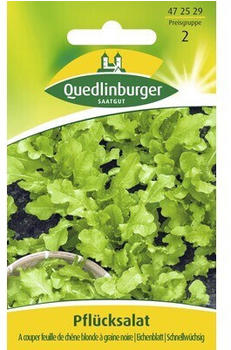 Quedlinburger Saatgut Pflücksalat A couper feuille de chên Salatsamen (472529)